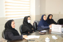 برگزاری گردهمایی فصلی کارشناسان مسئولان گروه سلامت نوجوانان،جوانان و مدارس