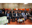 مراسم نواختن زنگ سلامت مدرسه