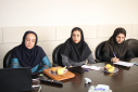 جلسه پایش وزارتی از اجرای برنامه پایلوت پیشگیری از پوکی استخوان