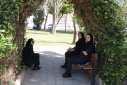 همایش پیاده روی صبحگاهی با محوریت روزجهانی شیر/ تاکید مجدد به ارزش های تغذیه با شیرمادر