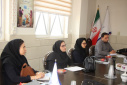 جلسه فنی کارشناسان ستاد شهرستانها